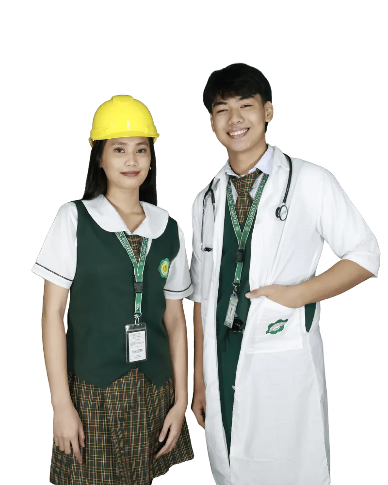 stem model